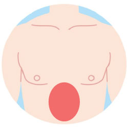 腹毛脱毛の範囲