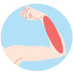 ひじ下脱毛の範囲