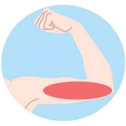 ひじ上脱毛の範囲