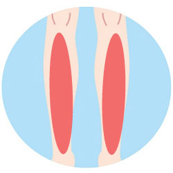 ひざ下脱毛の範囲