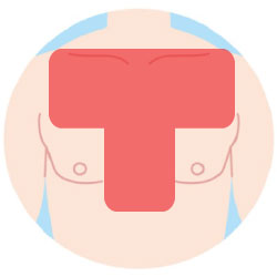 胸毛脱毛の範囲