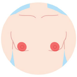 胸毛脱毛の範囲