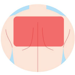 背中上脱毛の範囲