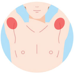 ワキ脱毛の範囲